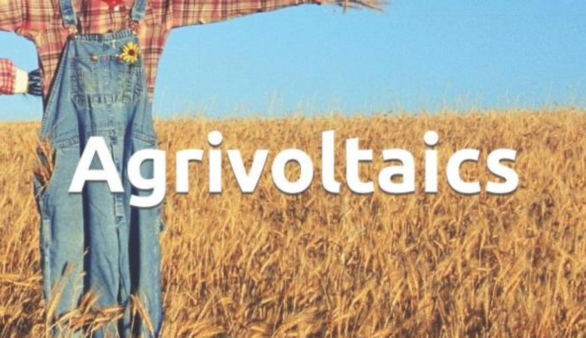 Agrivoltaics: A Sustainable Integration of Solar Energy and Agriculture